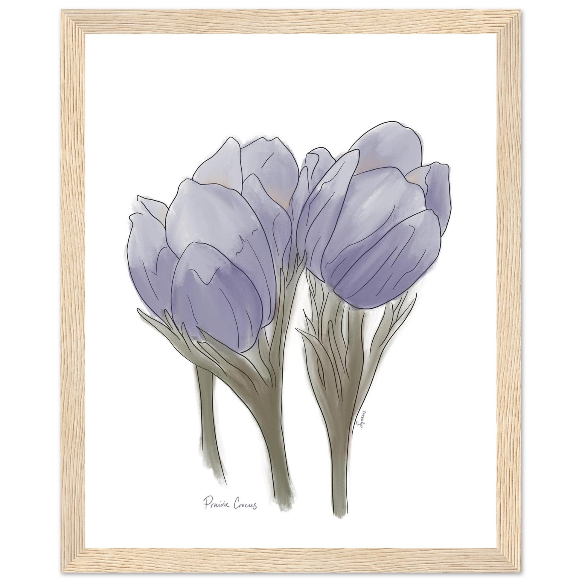 0059d5ac-5535-4b3d-999a-761d4aa529fd