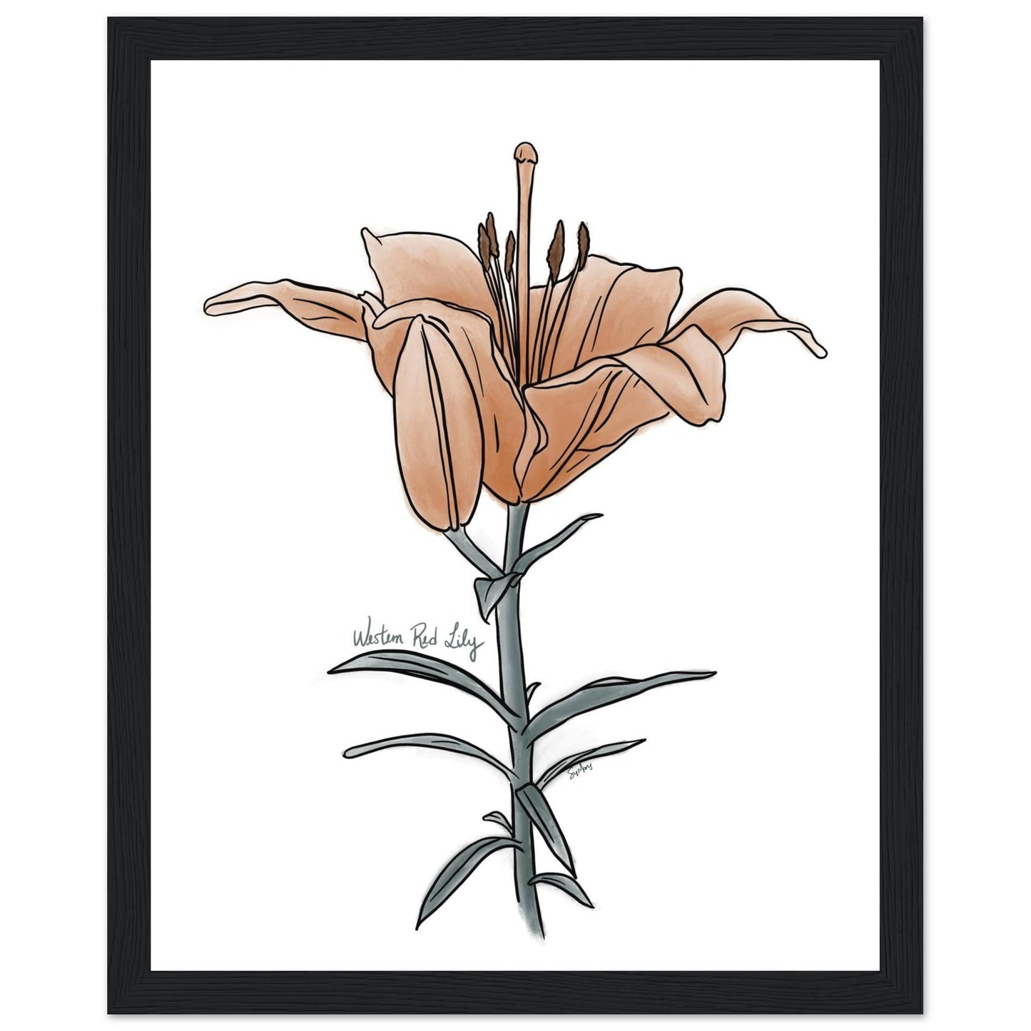 08506206-1f81-4133-b3a2-6a9bb32bda04