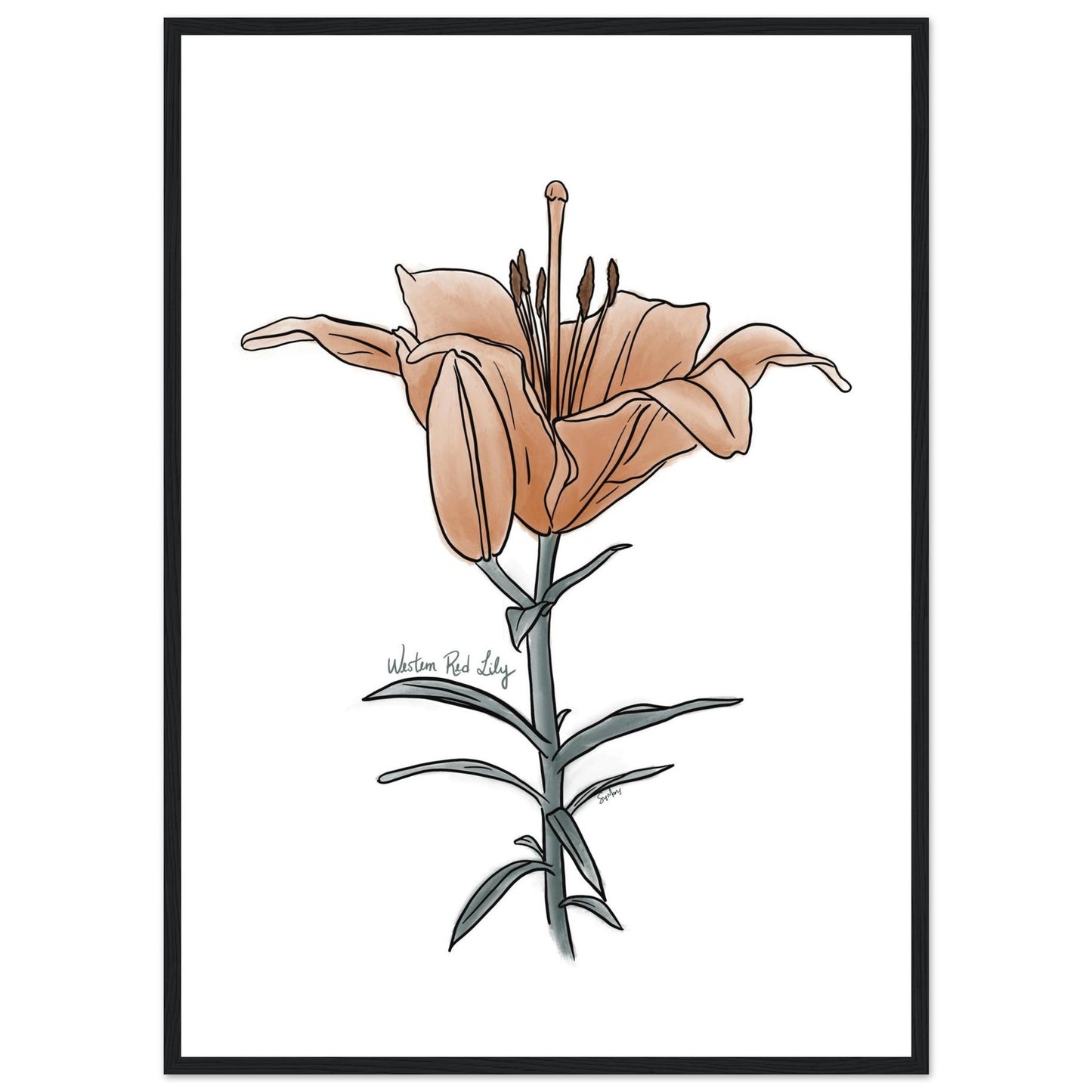 0edf9f69-d1d7-4973-9a24-3c6ef4af3699