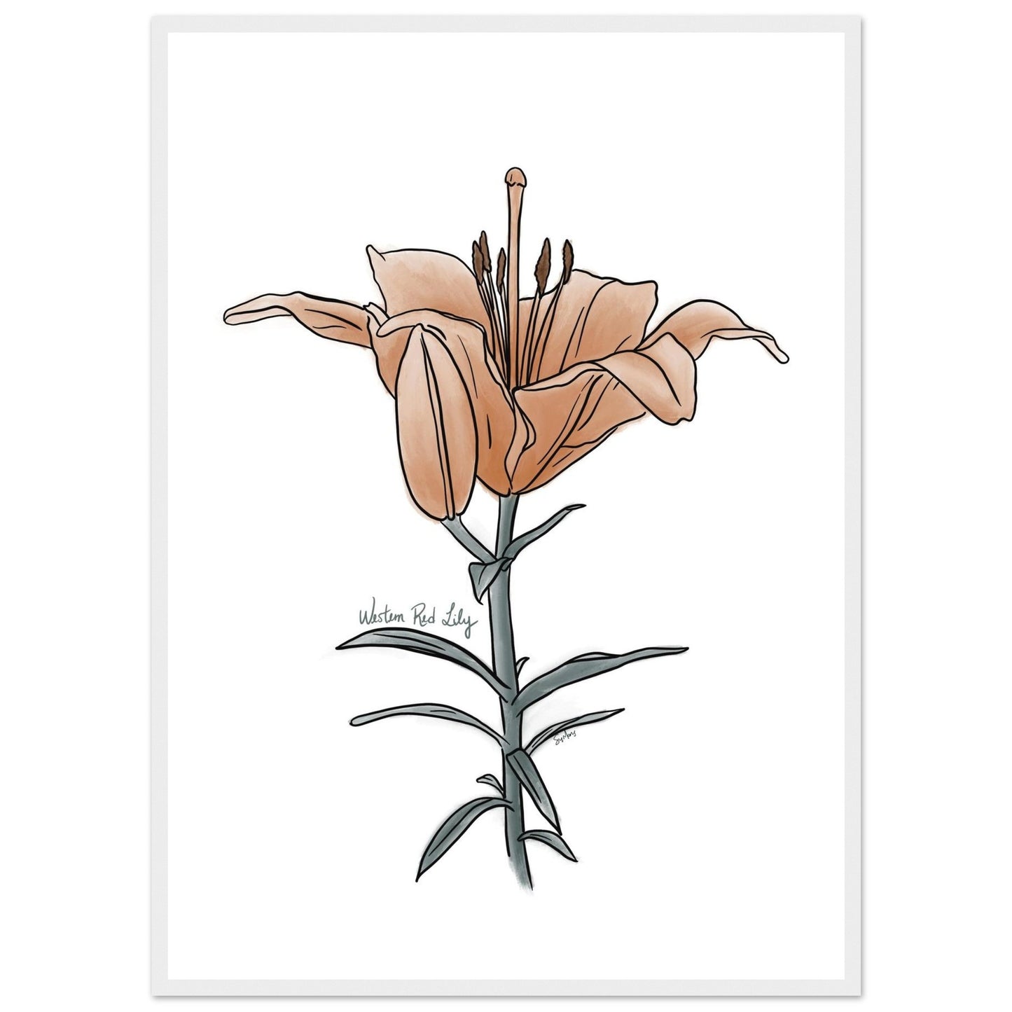 1f69af2c-2e35-4964-94de-069baf2efb3f