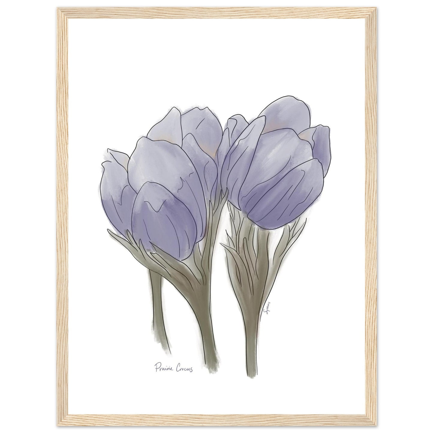 22512d2b-5f69-4b02-a849-7e640088b1a9