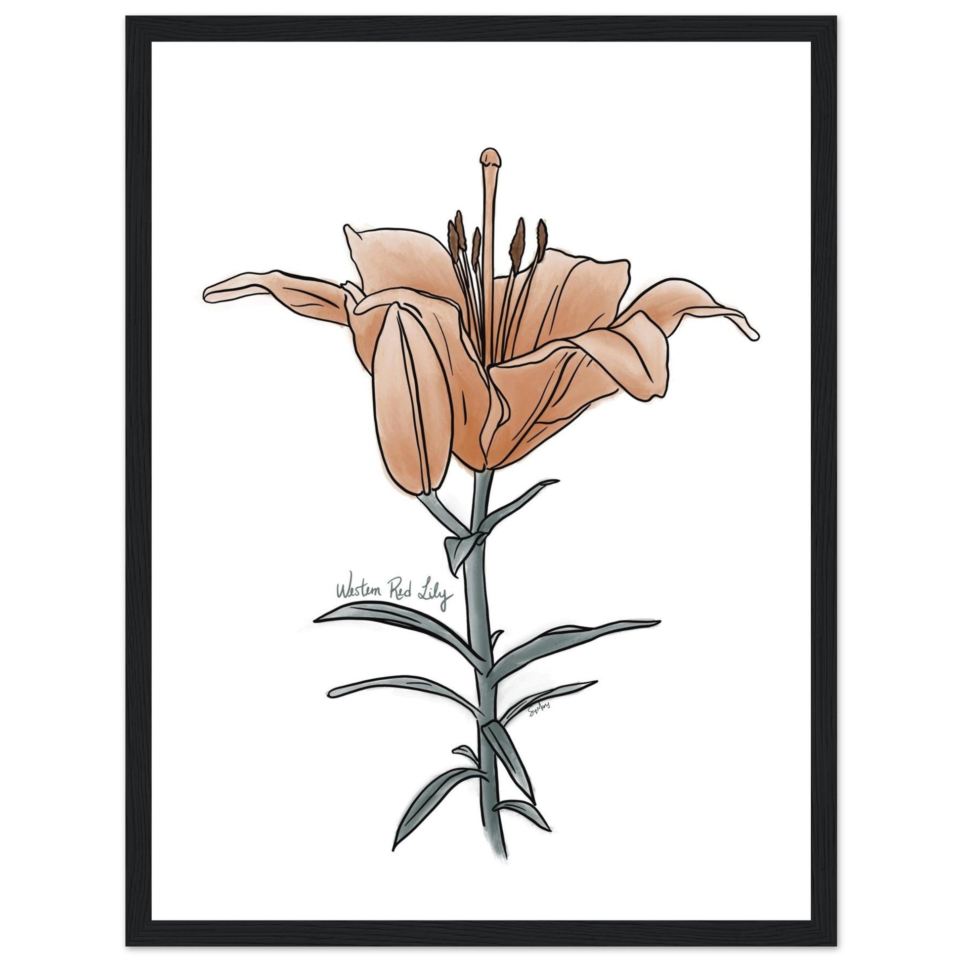 3bf23849-8030-4e16-b45c-169cf68dfa66