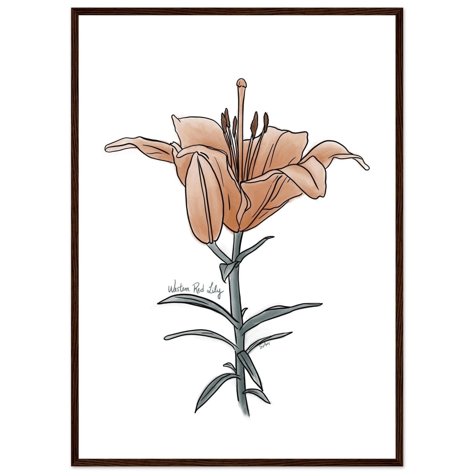 56a39f27-476a-4842-b39c-cda3cdfa849e