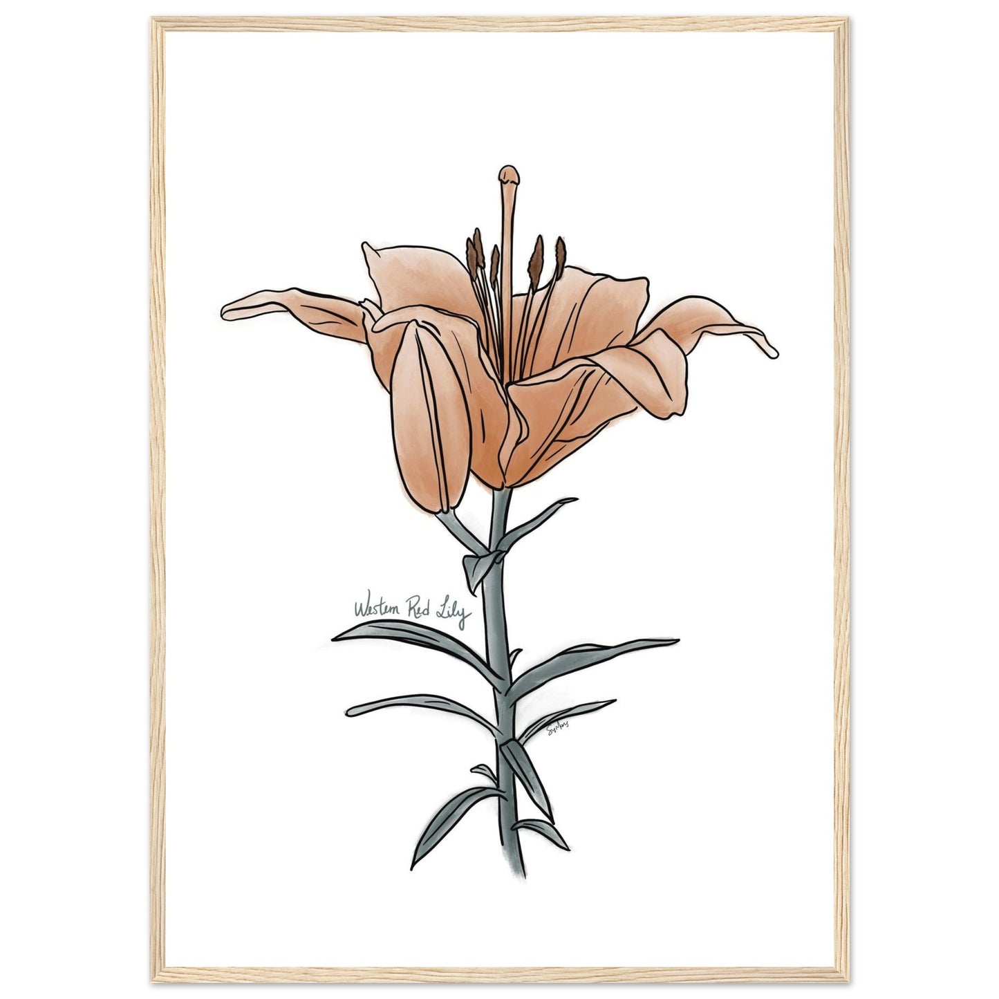 955f9658-fccf-4c37-a852-f3967c7ef3f9