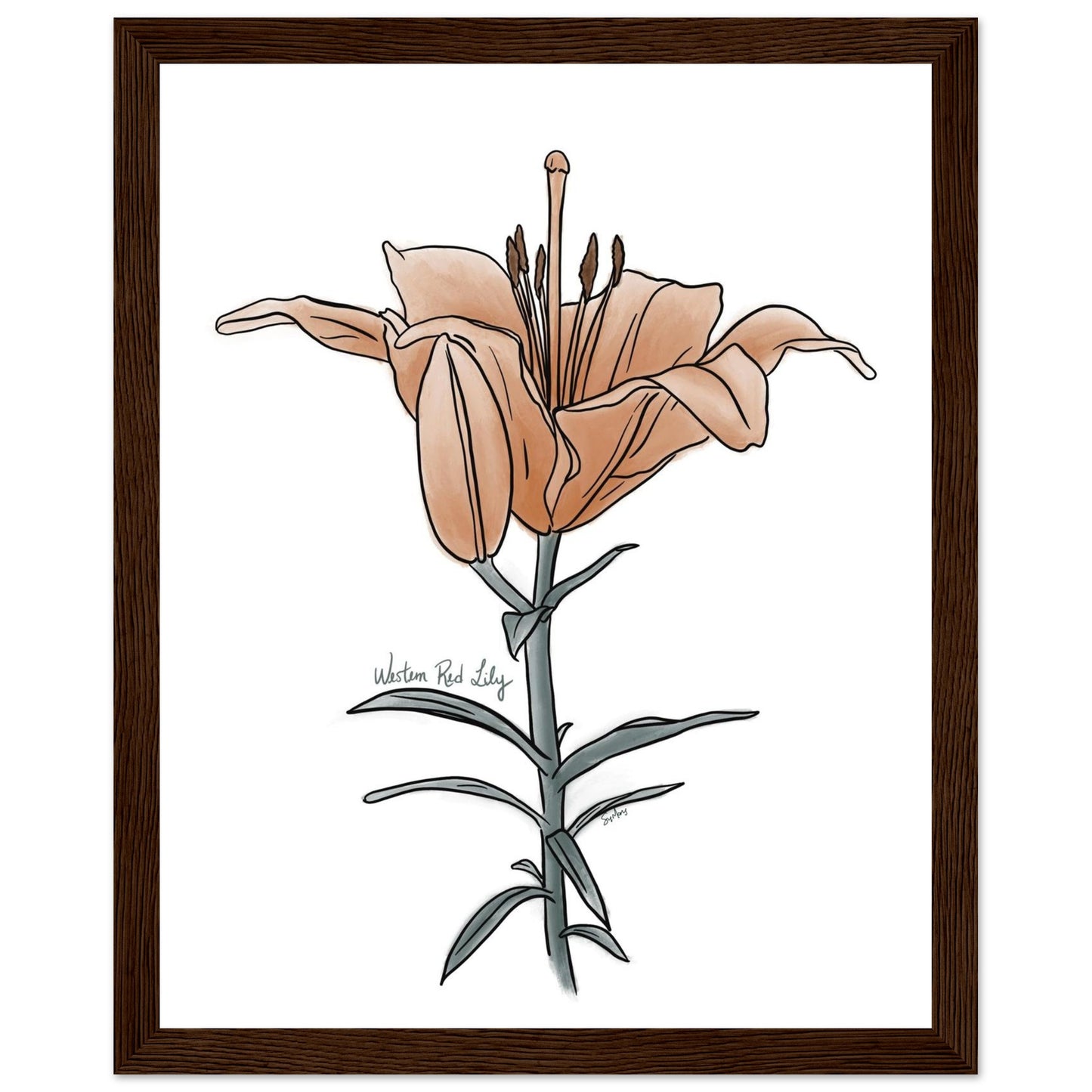 95752f29-add1-4bdf-8585-3a2f18de3eb6