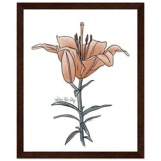 95752f29-add1-4bdf-8585-3a2f18de3eb6