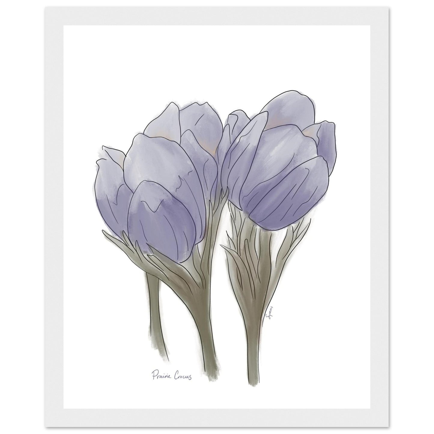 a30cf498-8c5d-45b1-9c75-916c82a337b7