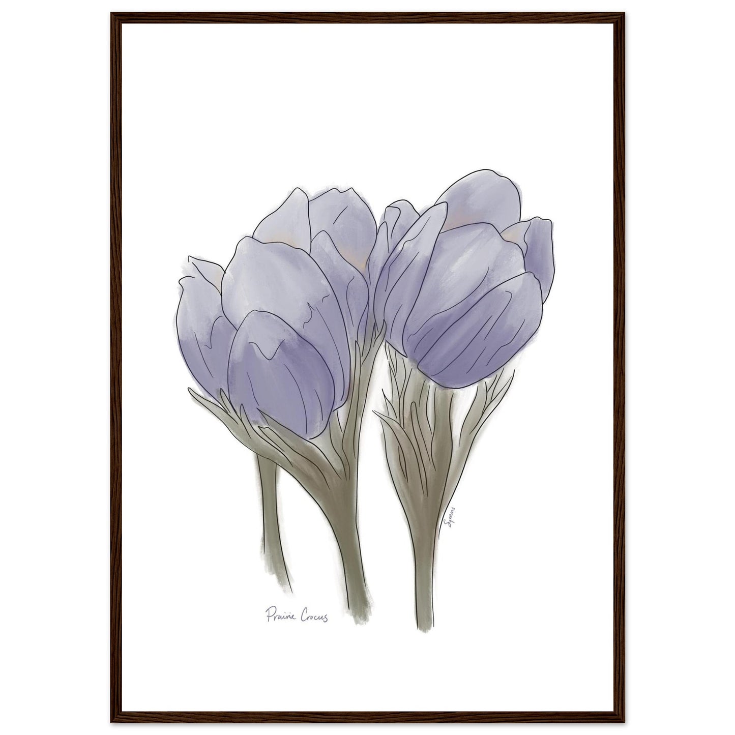 b093c399-6d2a-4b01-bd77-cb7fa83432f2