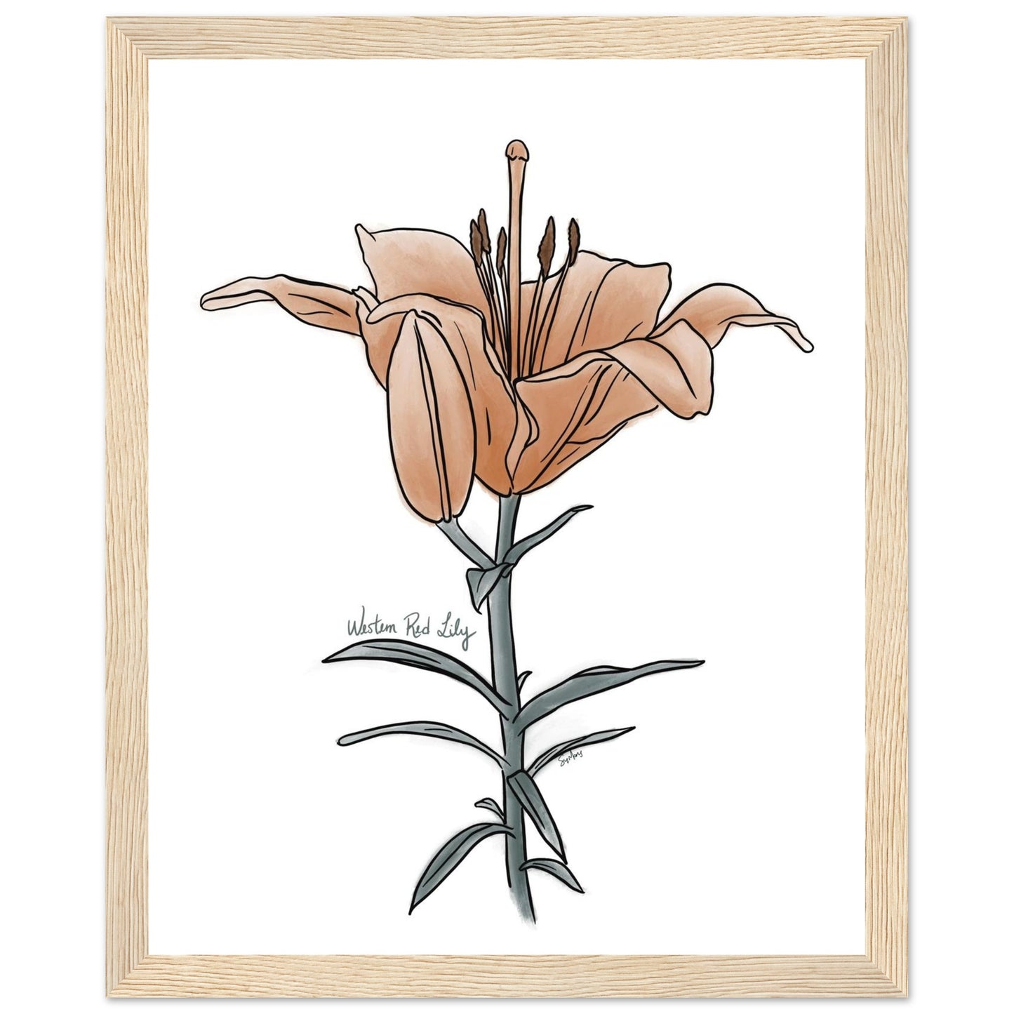 b538f755-59ca-4aa3-b64c-968e89986ba7