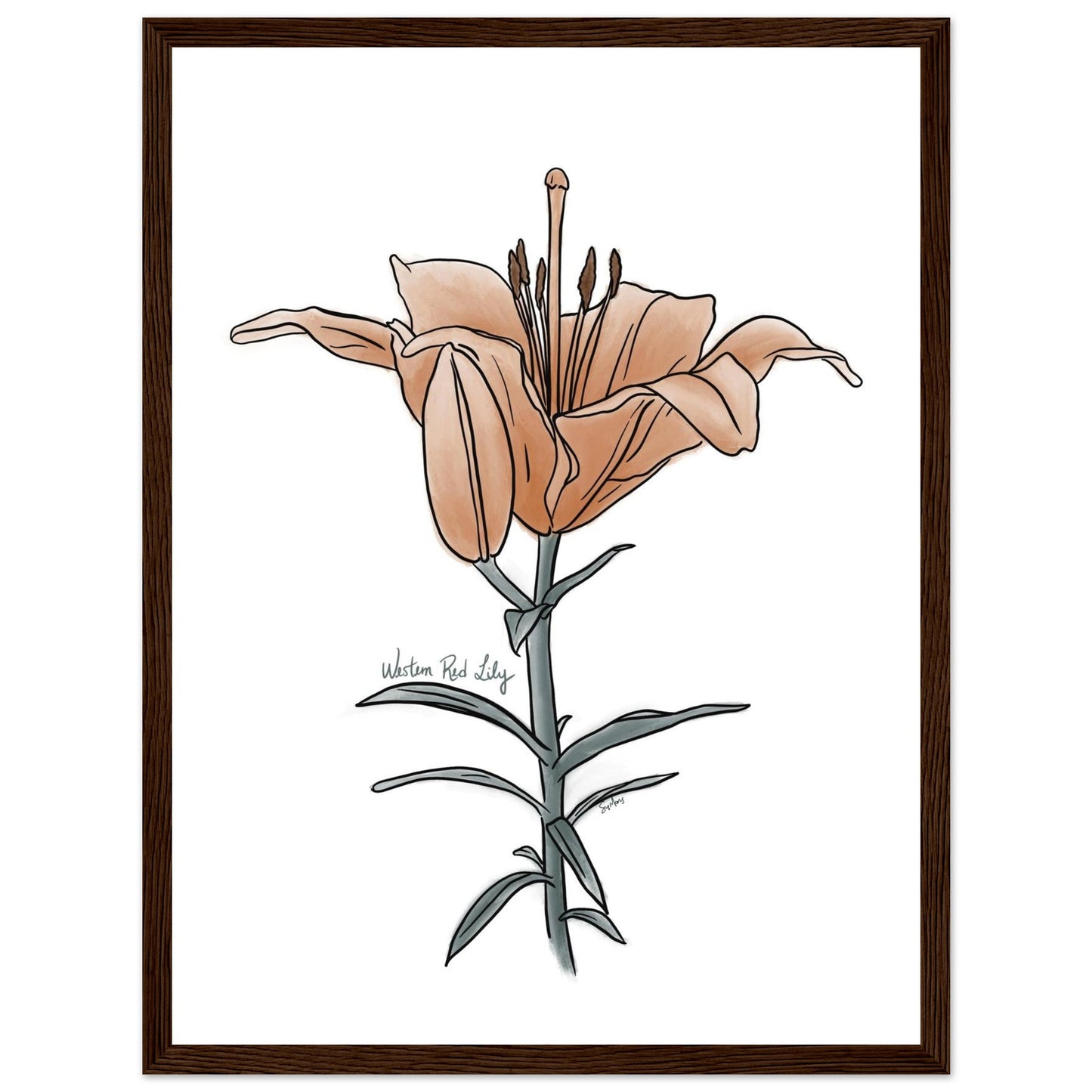 e6831bd7-d9ed-4208-bb96-030ab3f54ac6