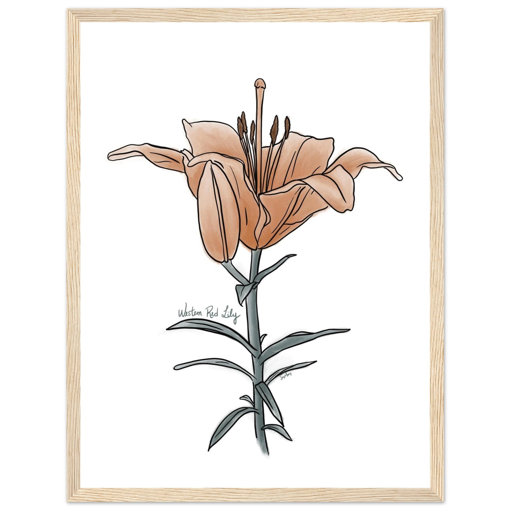 fa06c7cb-72bf-41d1-b32c-bf2149ea659a